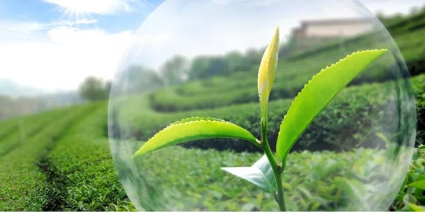 Procesapparatuur voor gewasbeschermingsmiddelen