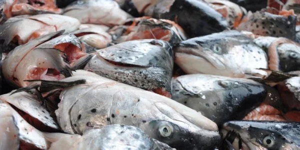 Procesapparatuur voor het opwerken van reststromen