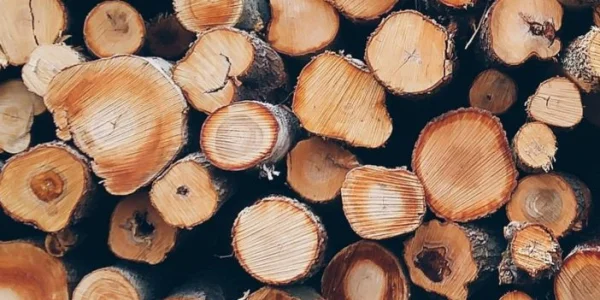 Ontdek onze procesapparatuur voor lignine