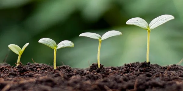 Procesapparatuur voor de productie van kunstmest